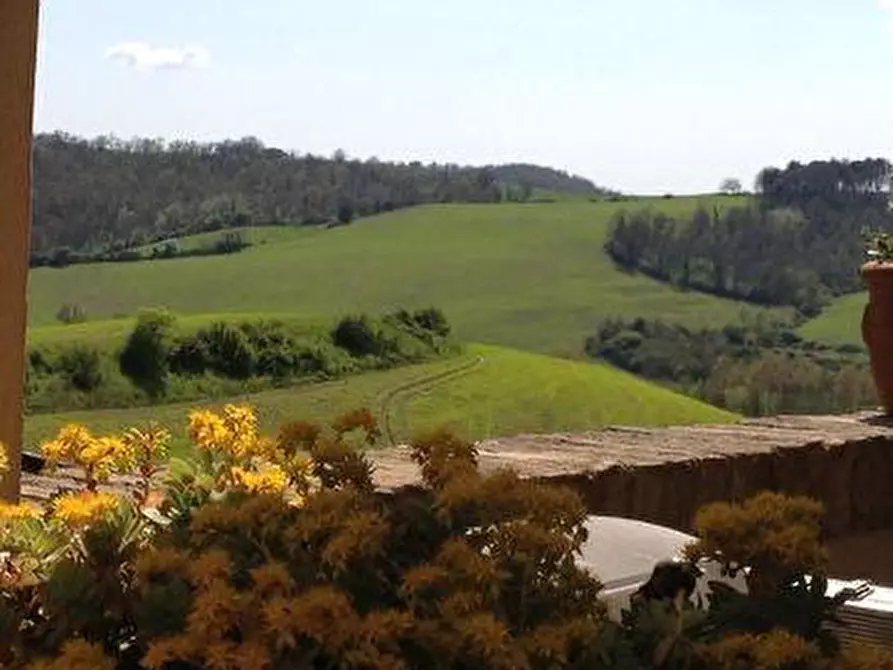 Immagine 13 di Casa colonica in vendita  a Buonconvento