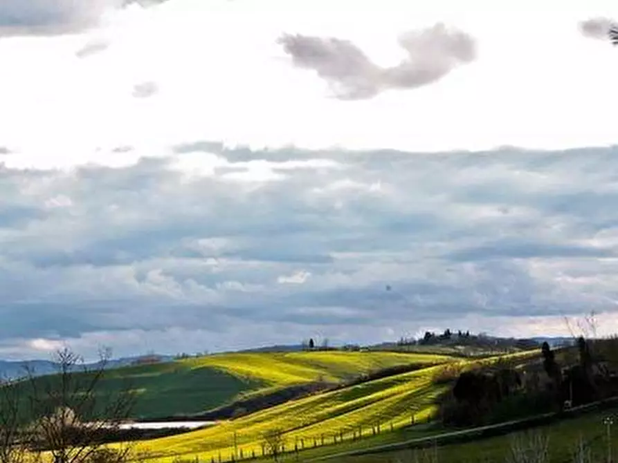 Immagine 15 di Casa colonica in vendita  a Buonconvento