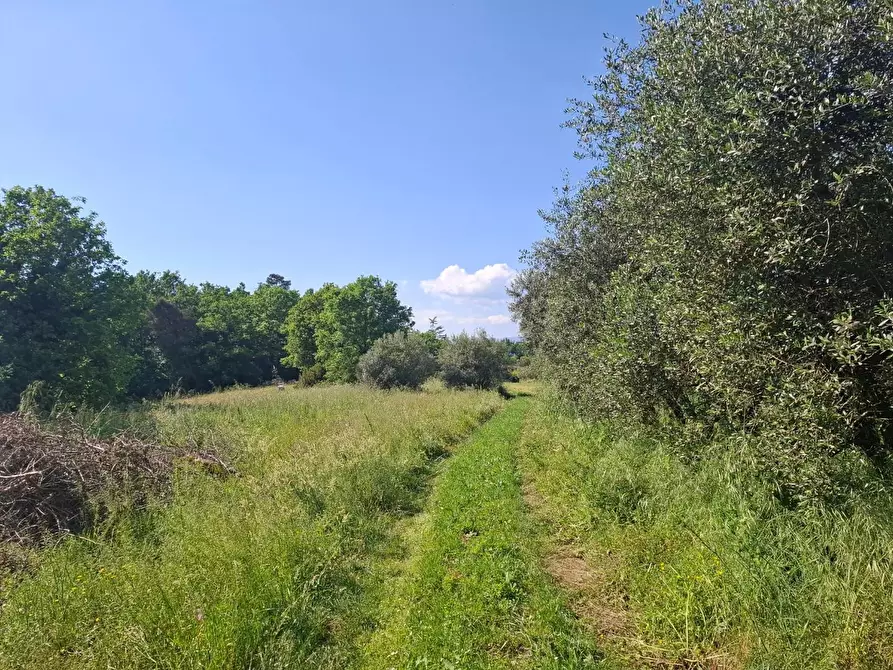 Immagine 9 di Villa in vendita  a Fucecchio