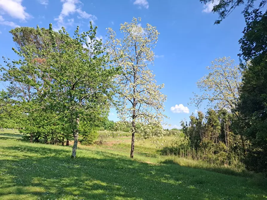 Immagine 12 di Villa in vendita  a Fucecchio