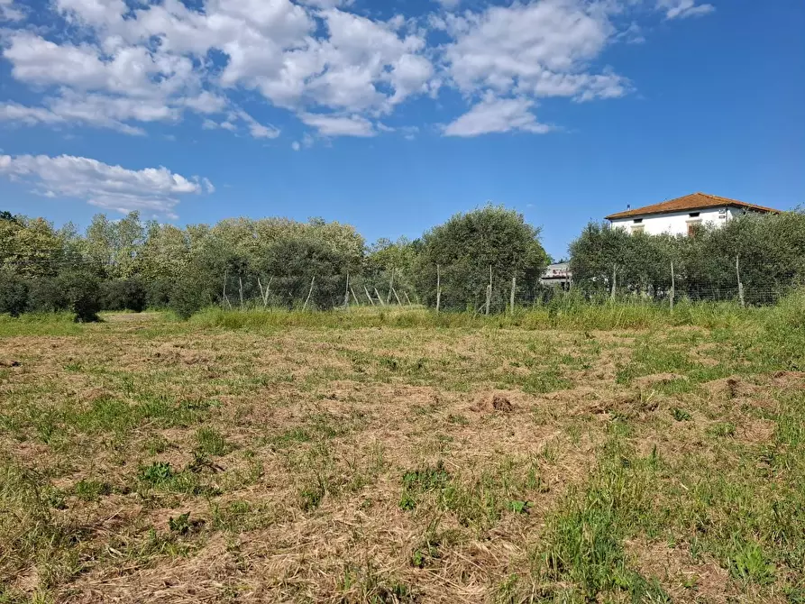 Immagine 10 di Villa in vendita  a Fucecchio