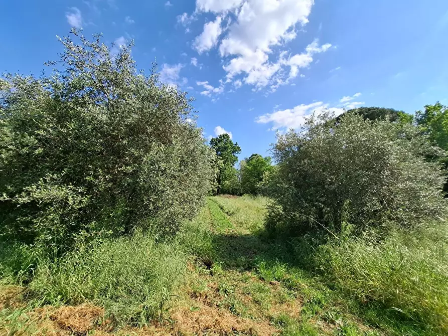 Immagine 11 di Villa in vendita  a Fucecchio