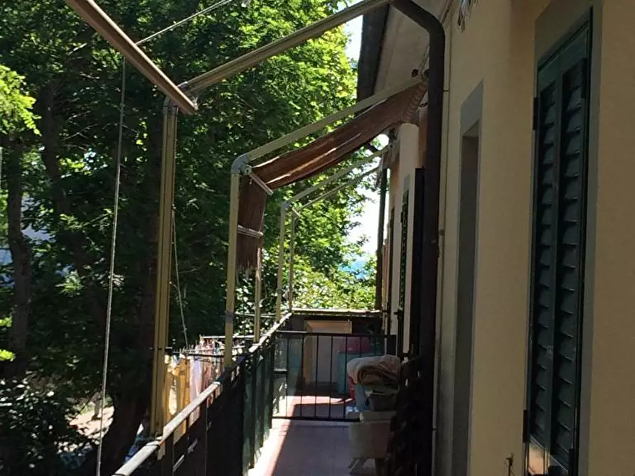 Immagine 3 di Appartamento in affitto  a Rosignano Marittimo