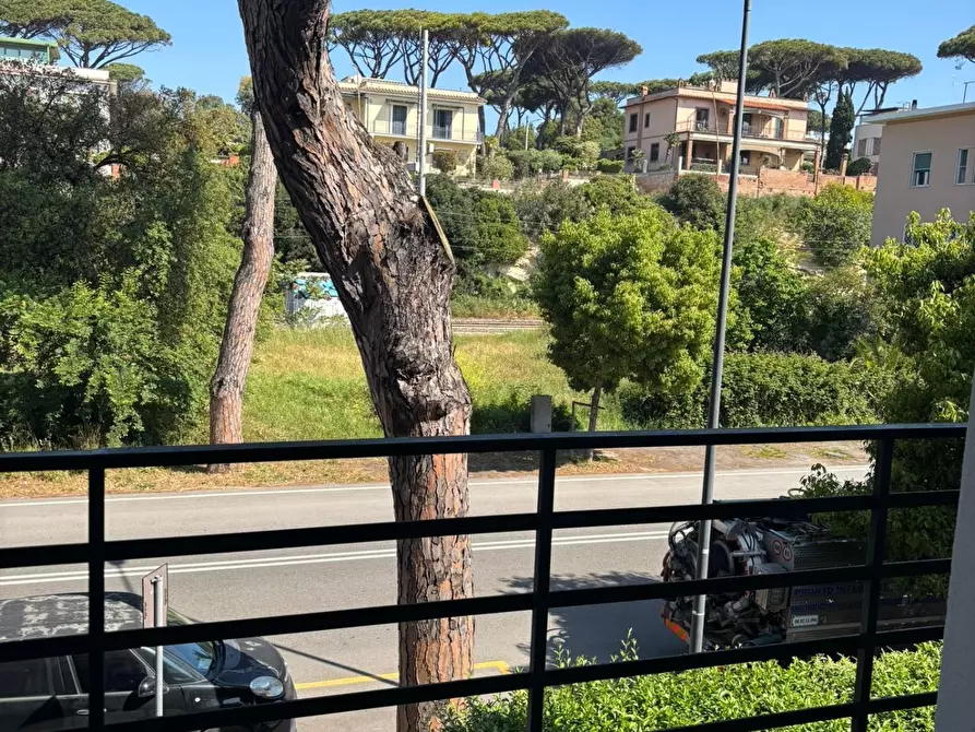 Immagine 8 di Appartamento in vendita  a Anzio