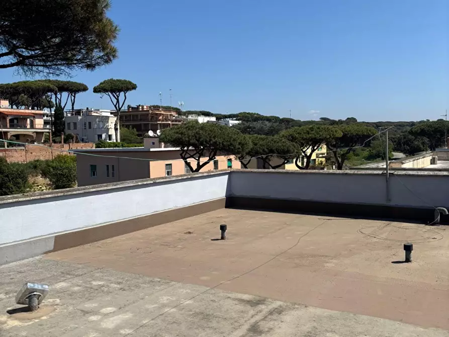 Immagine 53 di Appartamento in vendita  a Anzio