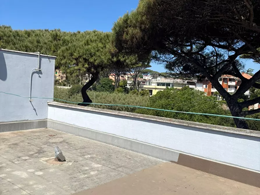 Immagine 54 di Appartamento in vendita  a Anzio