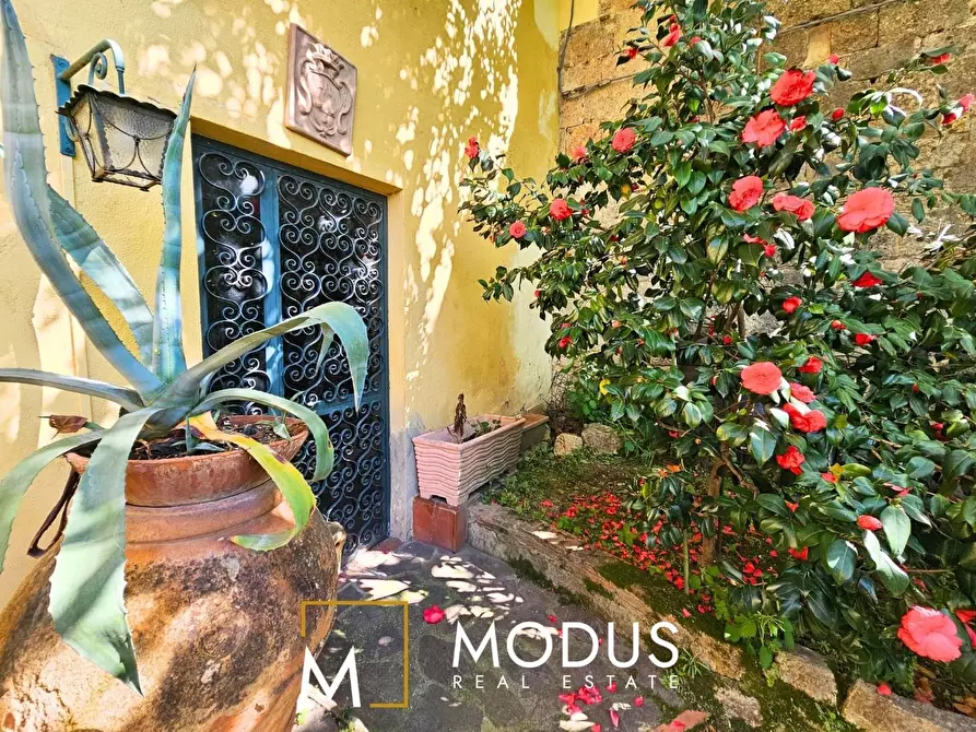 Immagine 7 di Villa in vendita  a Pisa