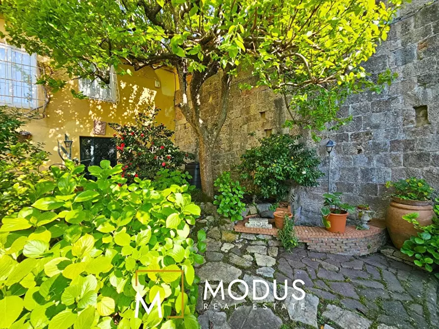 Immagine 8 di Villa in vendita  a Pisa