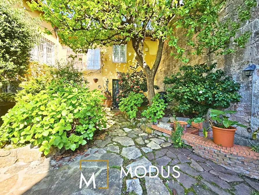 Immagine 4 di Villa in vendita  a Pisa