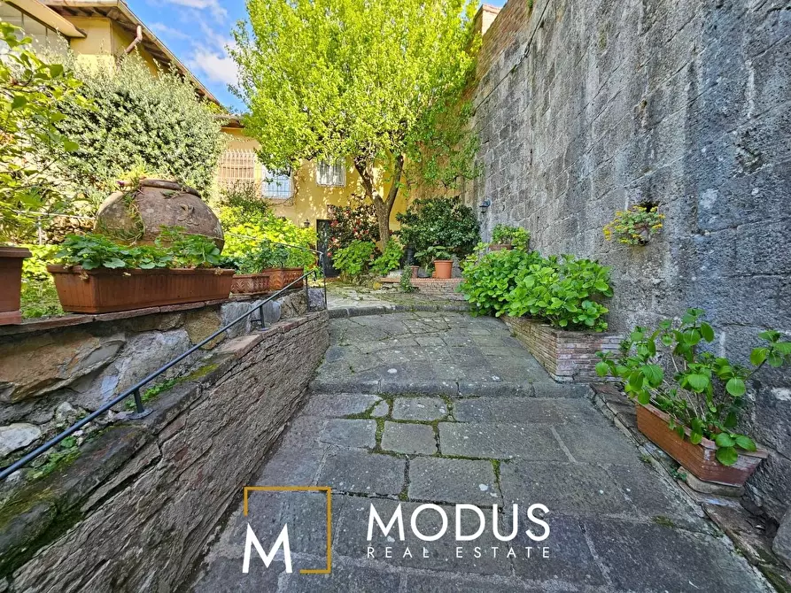 Immagine 3 di Villa in vendita  a Pisa