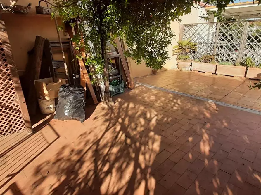 Immagine 46 di Appartamento in vendita  a Rosignano Marittimo