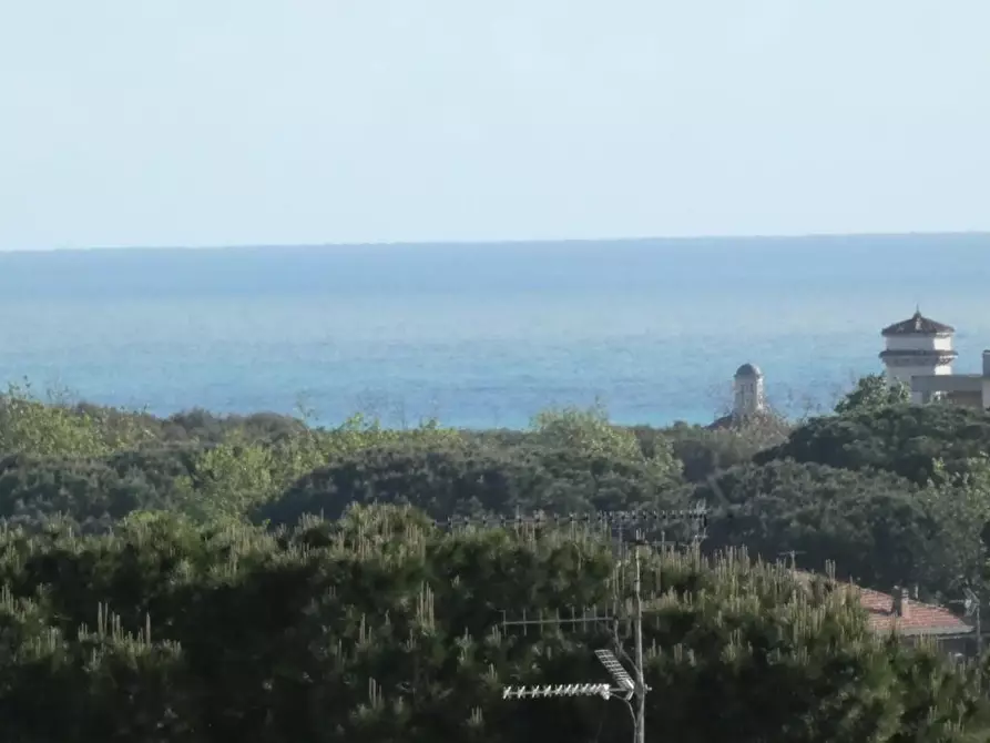 Immagine 26 di Appartamento in vendita  a Rosignano Marittimo