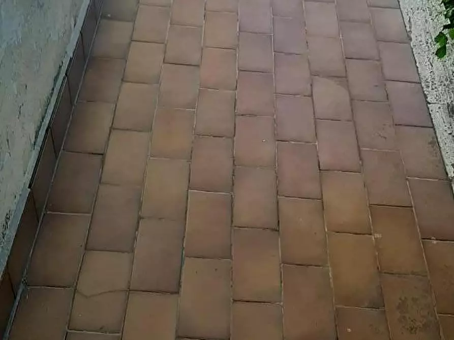 Immagine 15 di Appartamento in vendita  a Rosignano Marittimo