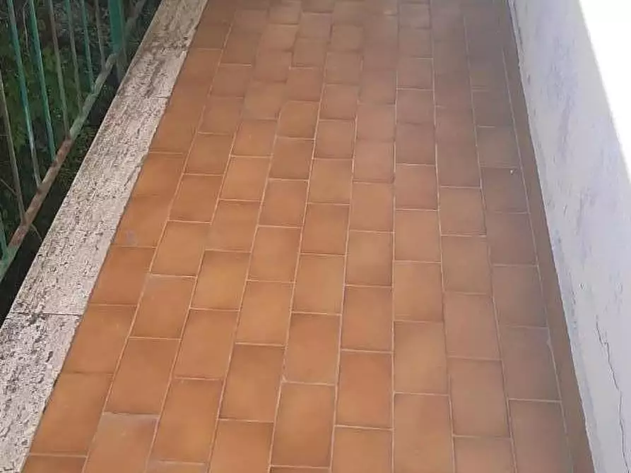 Immagine 14 di Appartamento in vendita  a Rosignano Marittimo