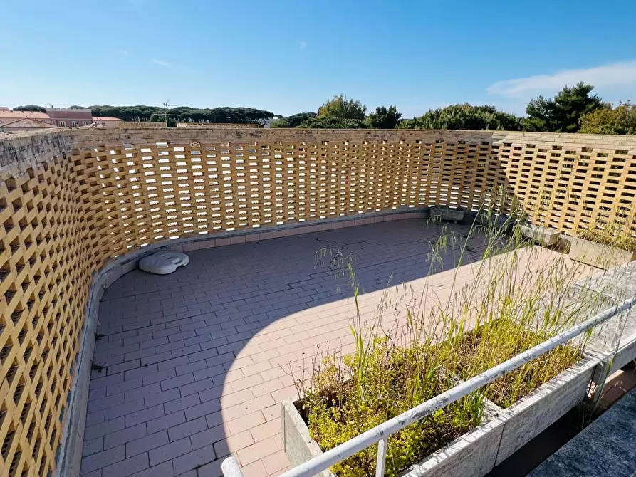 Immagine 1 di Appartamento in vendita  a Bibbona