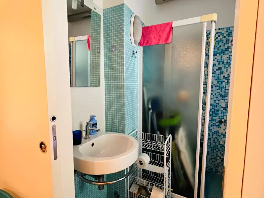 Immagine 23 di Appartamento in vendita  a Bibbona