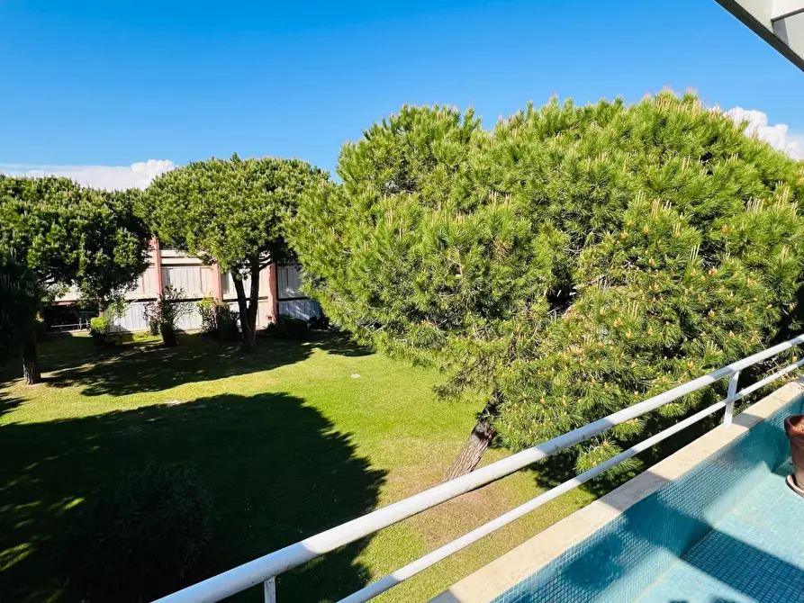 Immagine 11 di Appartamento in vendita  a Bibbona