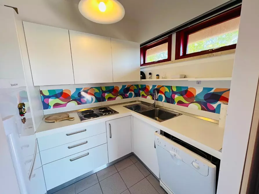 Immagine 25 di Appartamento in vendita  a Bibbona