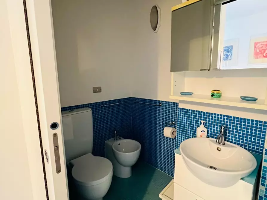 Immagine 17 di Appartamento in vendita  a Bibbona