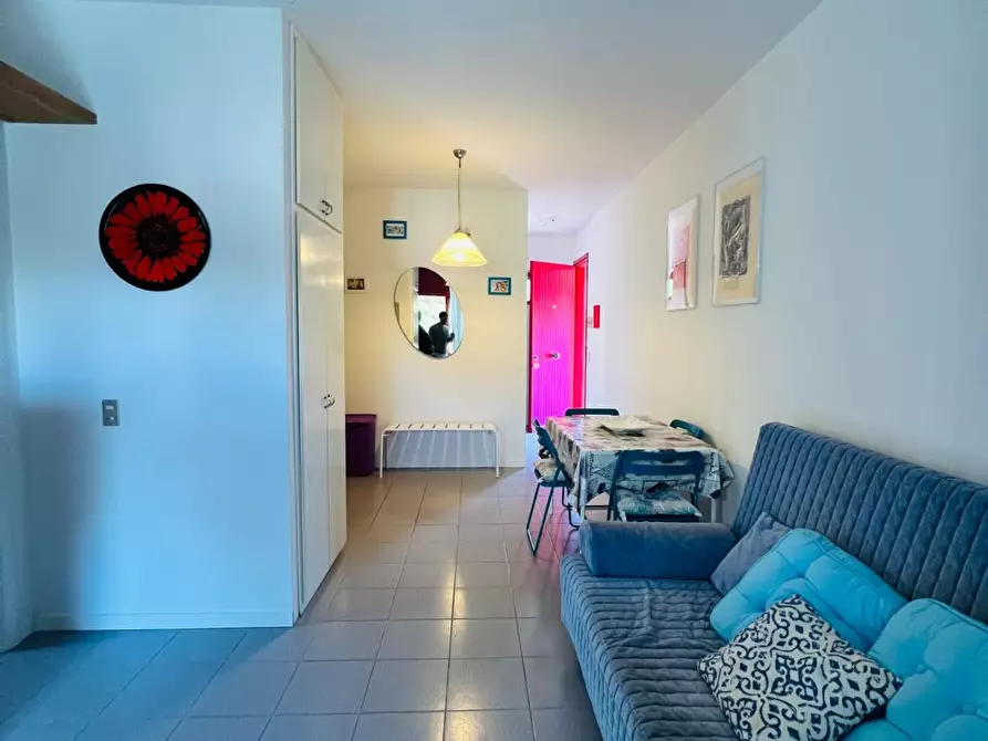 Immagine 28 di Appartamento in vendita  a Bibbona