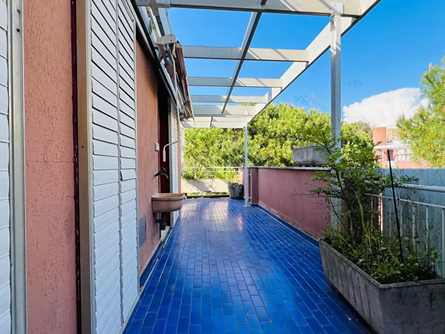 Immagine 5 di Appartamento in vendita  a Bibbona