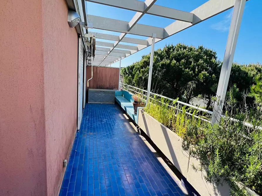 Immagine 9 di Appartamento in vendita  a Bibbona