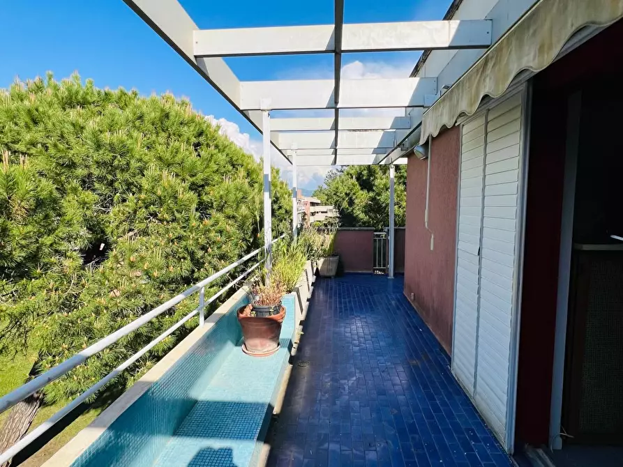 Immagine 10 di Appartamento in vendita  a Bibbona