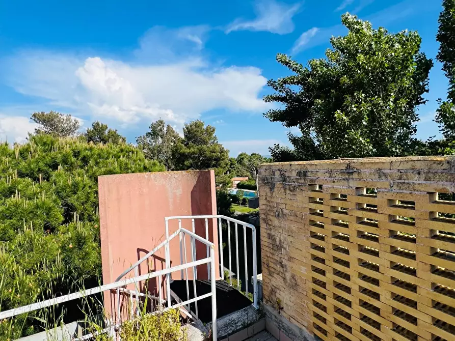 Immagine 3 di Appartamento in vendita  a Bibbona