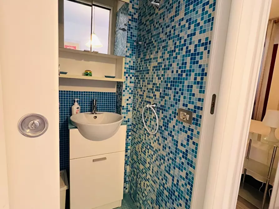 Immagine 18 di Appartamento in vendita  a Bibbona