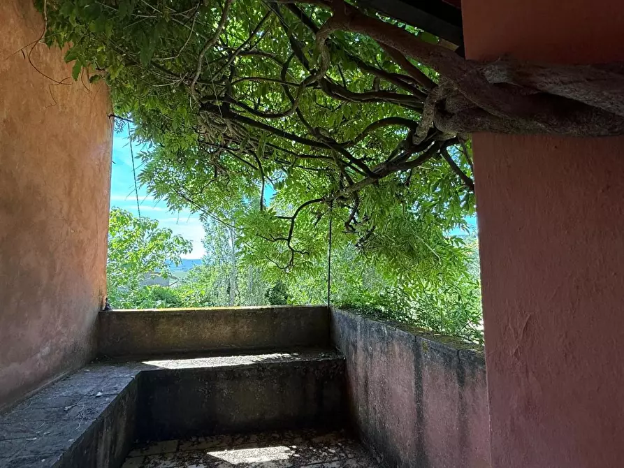 Immagine 10 di Casa colonica in vendita  a Casciana Terme Lari