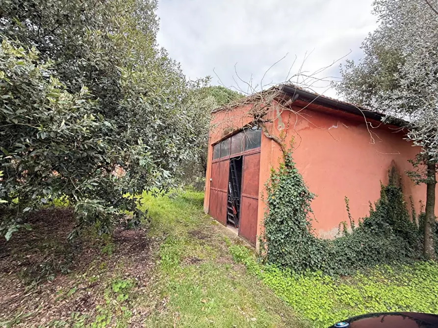 Immagine 42 di Casa colonica in vendita  a Casciana Terme Lari