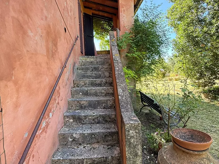 Immagine 36 di Casa colonica in vendita  a Casciana Terme Lari