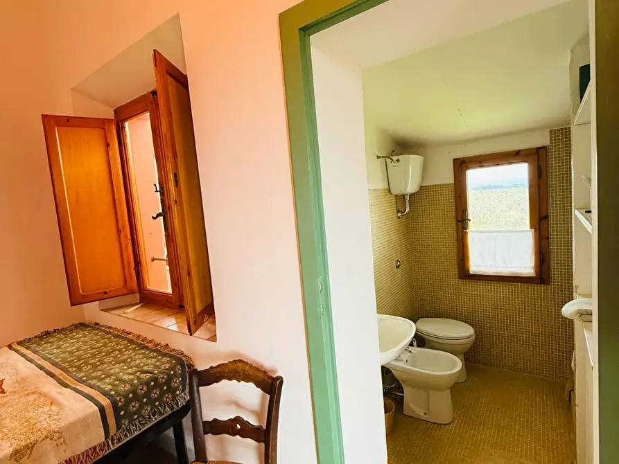 Immagine 27 di Casa colonica in vendita  a Casciana Terme Lari