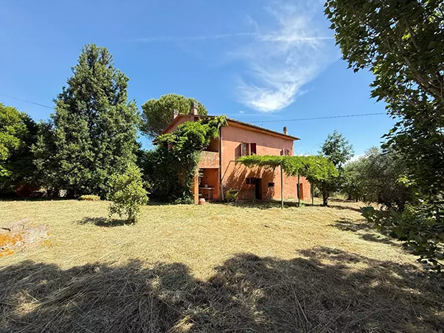 Immagine 48 di Casa colonica in vendita  a Casciana Terme Lari