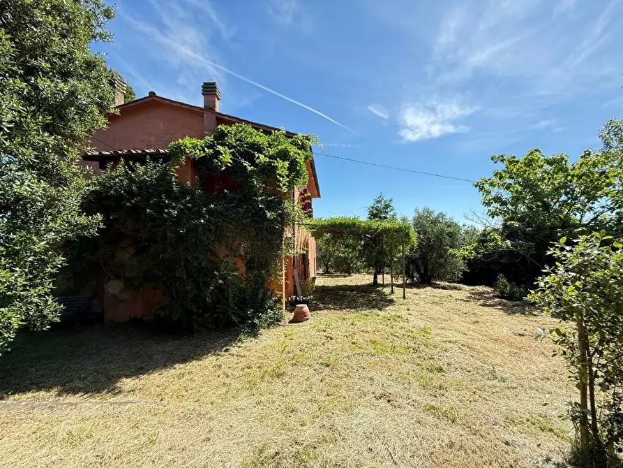 Immagine 49 di Casa colonica in vendita  a Casciana Terme Lari