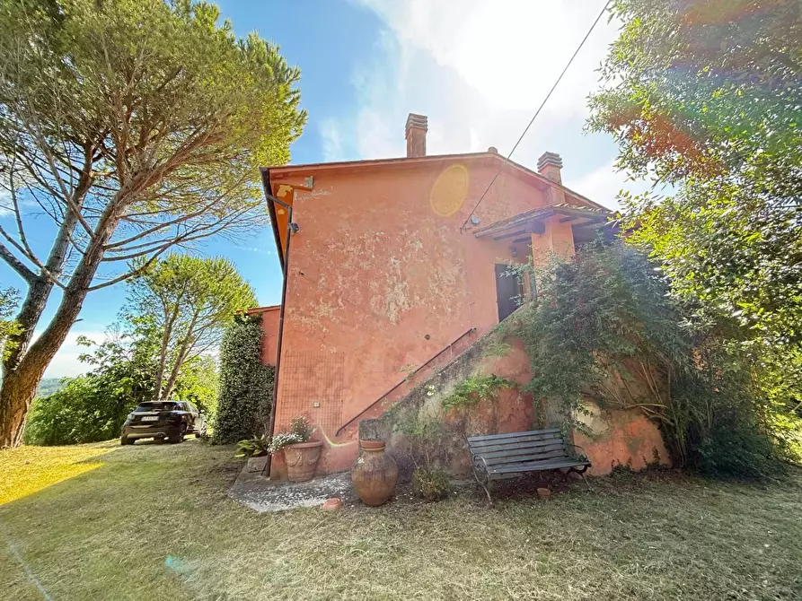 Immagine 5 di Casa colonica in vendita  a Casciana Terme Lari