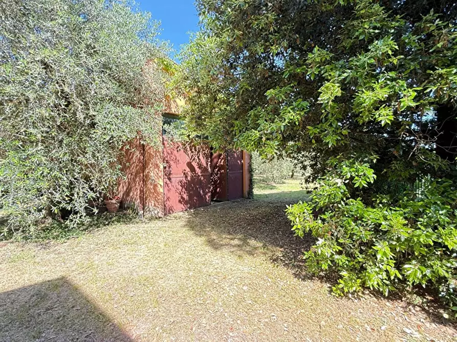 Immagine 46 di Casa colonica in vendita  a Casciana Terme Lari