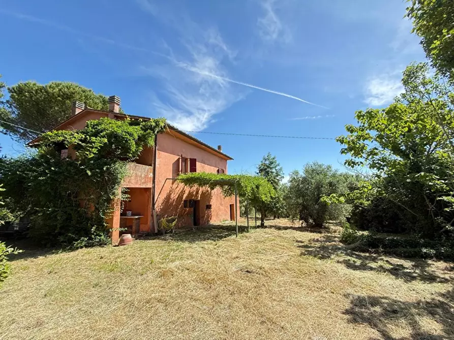 Immagine 47 di Casa colonica in vendita  a Casciana Terme Lari