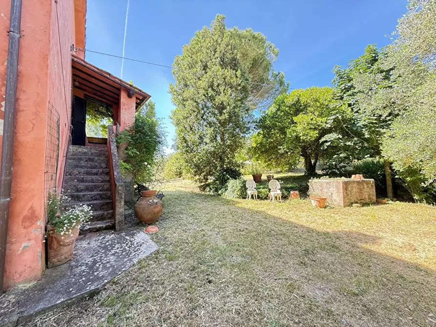 Immagine 43 di Casa colonica in vendita  a Casciana Terme Lari