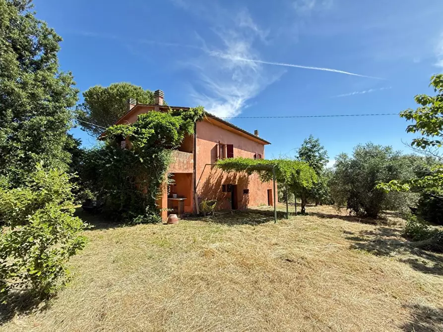 Immagine 2 di Casa colonica in vendita  a Casciana Terme Lari