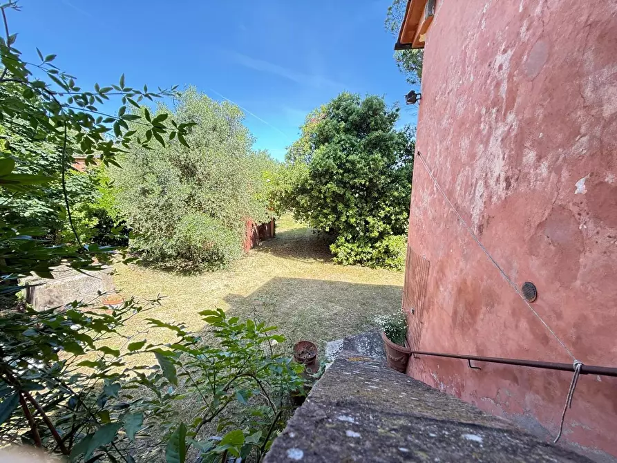 Immagine 58 di Casa colonica in vendita  a Casciana Terme Lari
