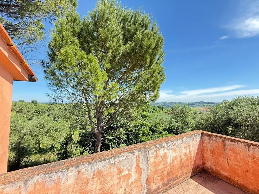 Immagine 54 di Casa colonica in vendita  a Casciana Terme Lari