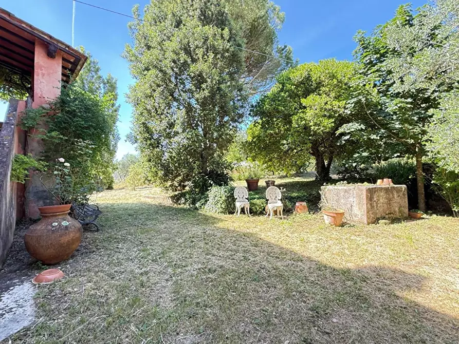 Immagine 45 di Casa colonica in vendita  a Casciana Terme Lari