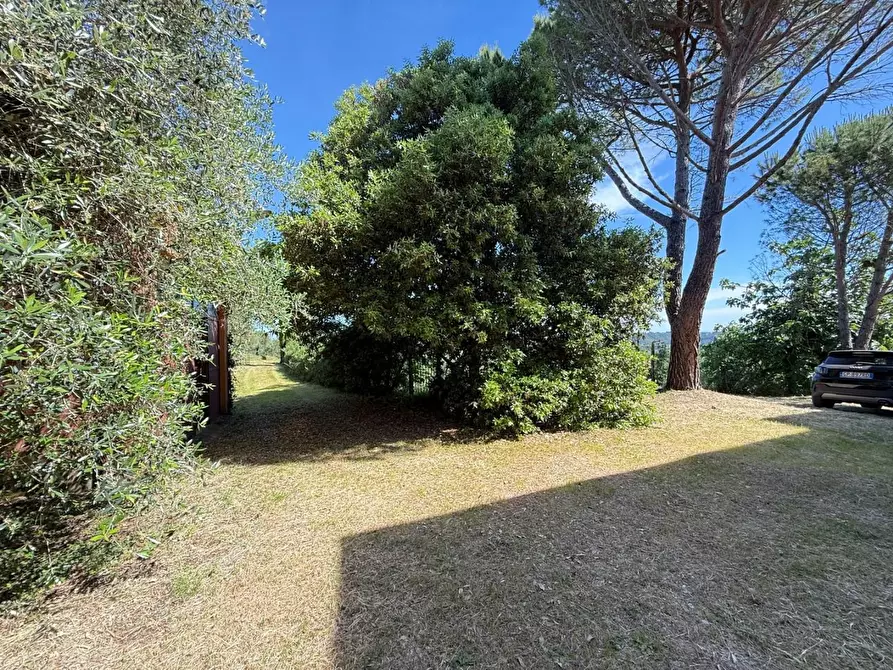 Immagine 6 di Casa colonica in vendita  a Casciana Terme Lari