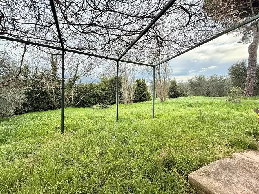 Immagine 38 di Casa colonica in vendita  a Casciana Terme Lari