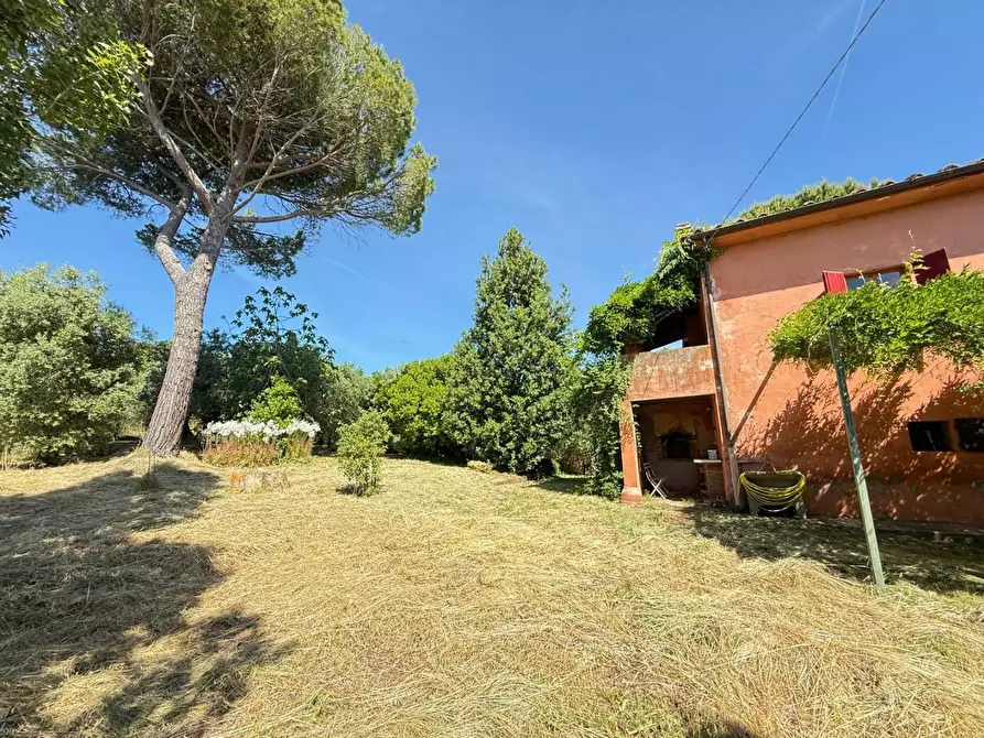 Immagine 52 di Casa colonica in vendita  a Casciana Terme Lari