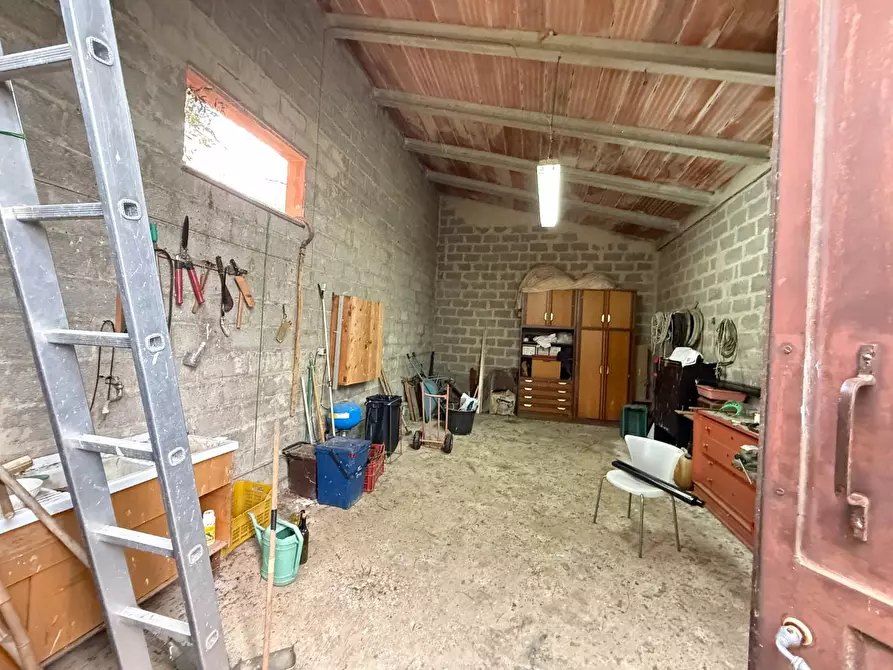 Immagine 41 di Casa colonica in vendita  a Casciana Terme Lari