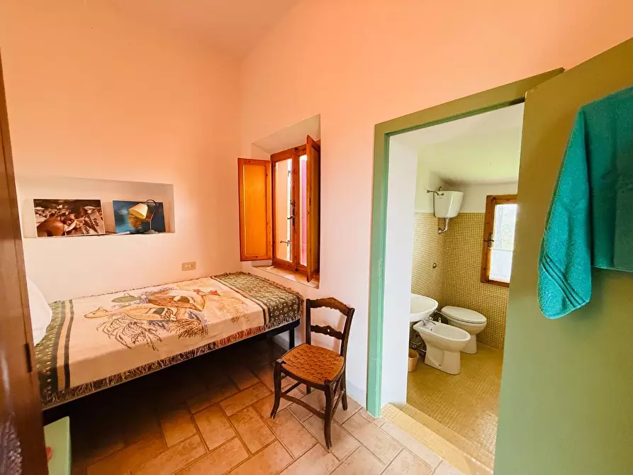 Immagine 25 di Casa colonica in vendita  a Casciana Terme Lari