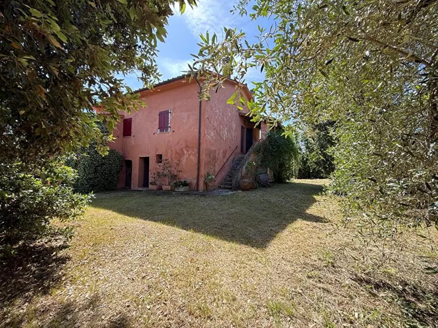 Immagine 3 di Casa colonica in vendita  a Casciana Terme Lari