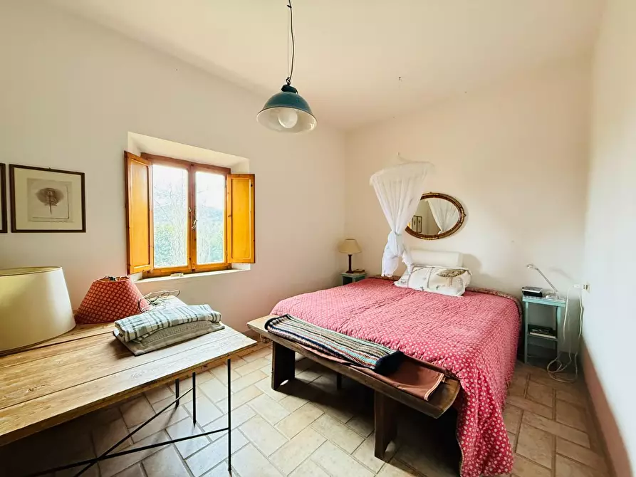 Immagine 21 di Casa colonica in vendita  a Casciana Terme Lari